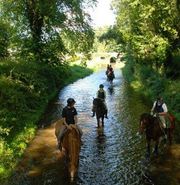 Go For the Horse Riding Holiday in Ireland 